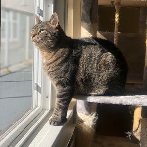 Meet your Posher, Ashley